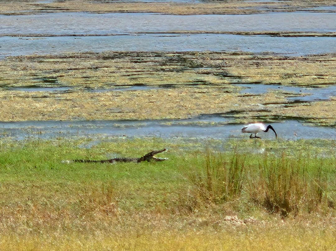 Wilpattu Safari Jeep景点图片