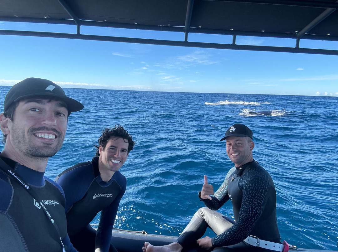 Tweed Gold Coast Dive Charters-堤维德岬必去景点