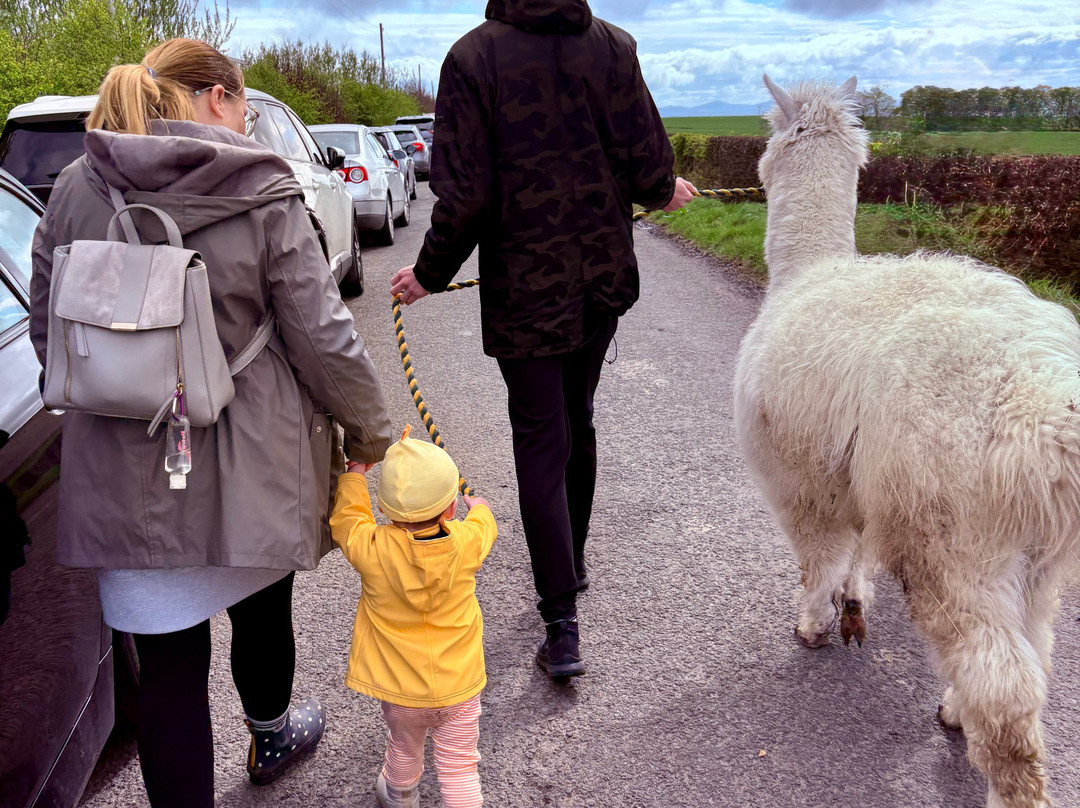 Melville mini farm park-Aberdour必去景点