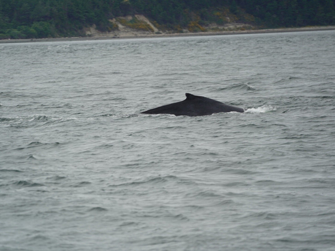 Totem Heritage Center-凯奇坎必去景点