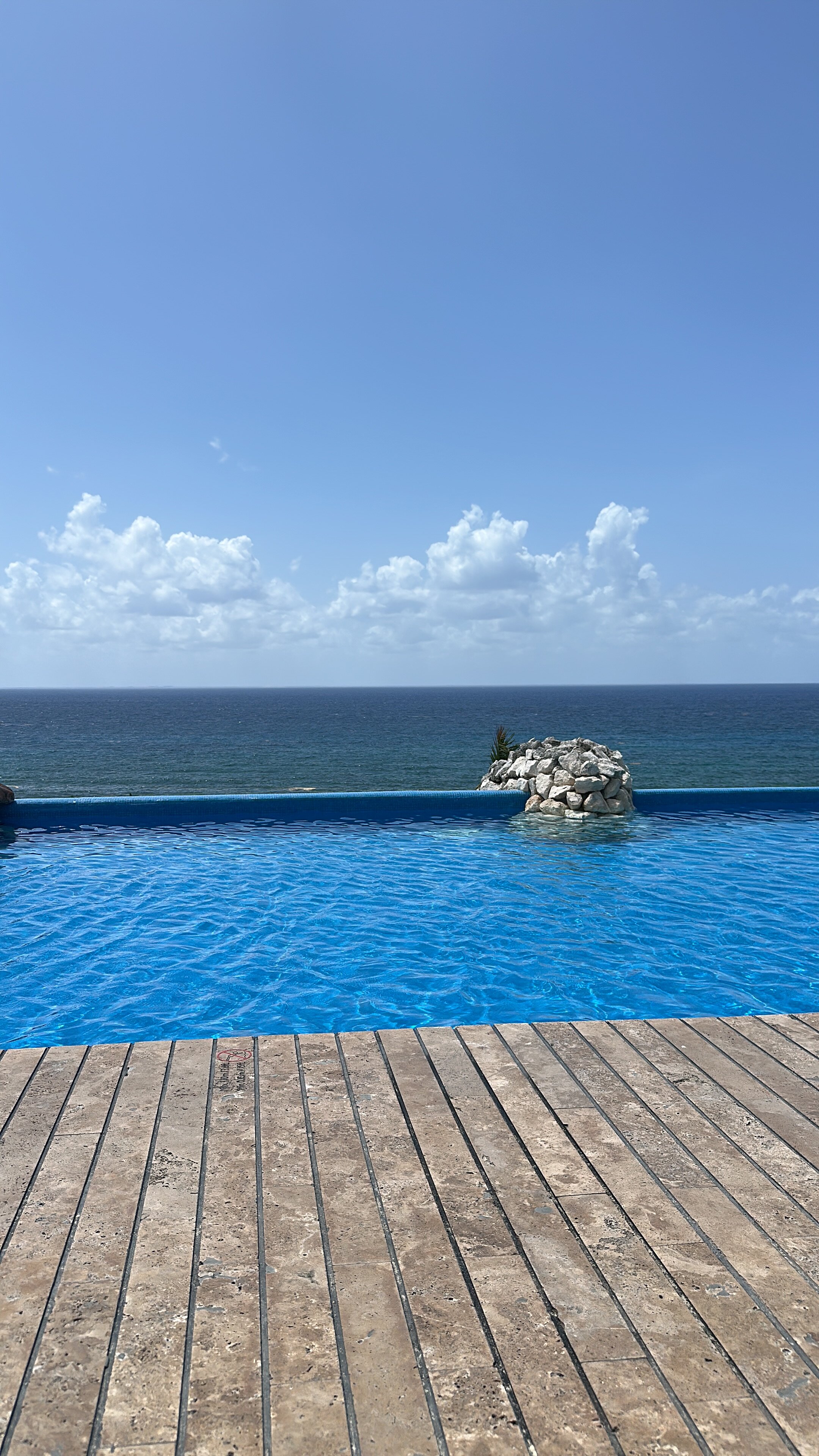 Hotel Xcaret Arte-泳池