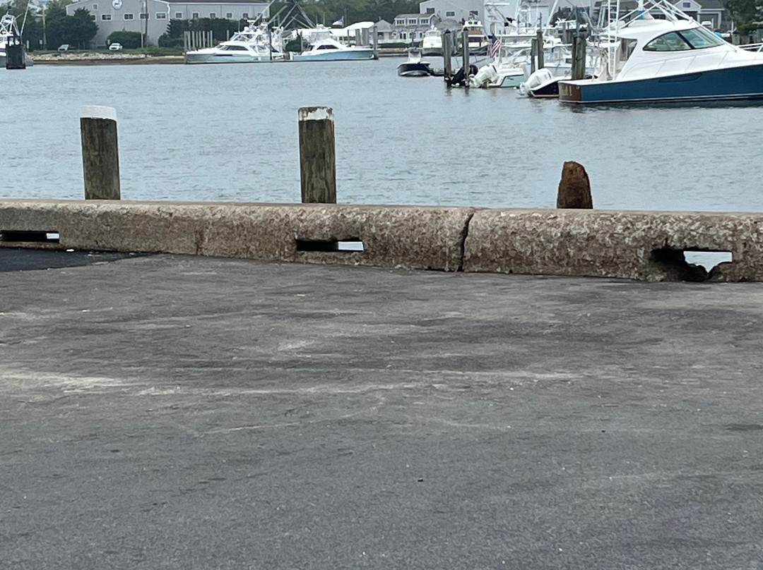 Martha's Vineyard Tours and Excursions-Vineyard Haven必去景点