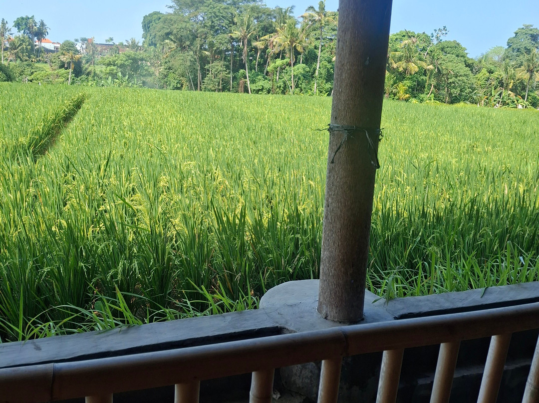 Wahana Bali Adventure-Singapadu必去景点