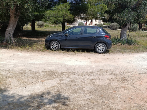 德尔帕尔梅住宿加早餐旅馆主图