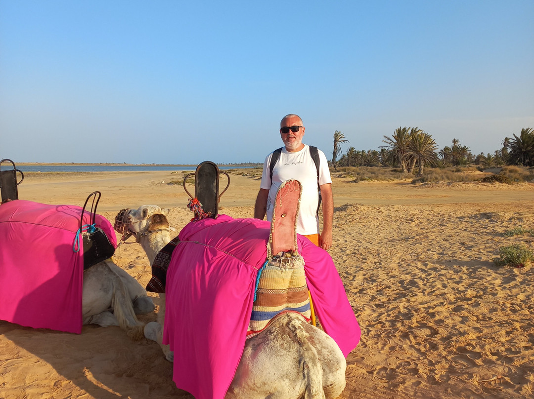 Hotel Al Jazira主图