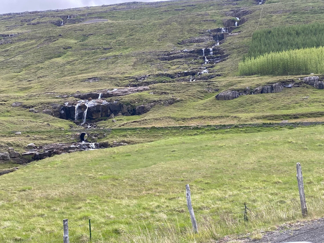 荒野中心/奥布乐思特群岛度假酒店主图