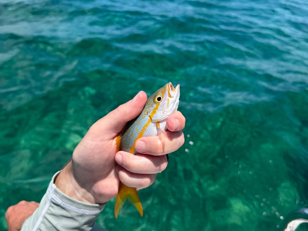 Navigare Yachting-Marsh Harbour必去景点