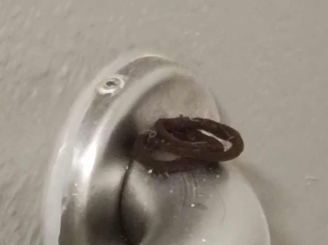 Courtyard by Marriott Gulf Shores Craft Farms主图