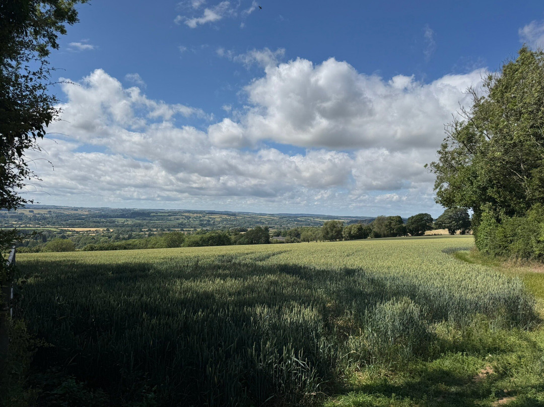 Cotswolds Electric Bike Tours-奇平卡姆登必去景点