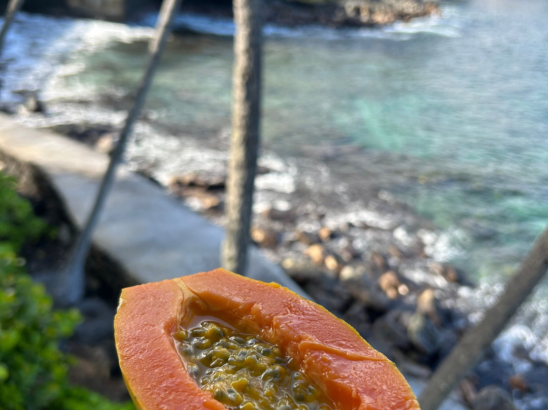 科纳提基酒店主图