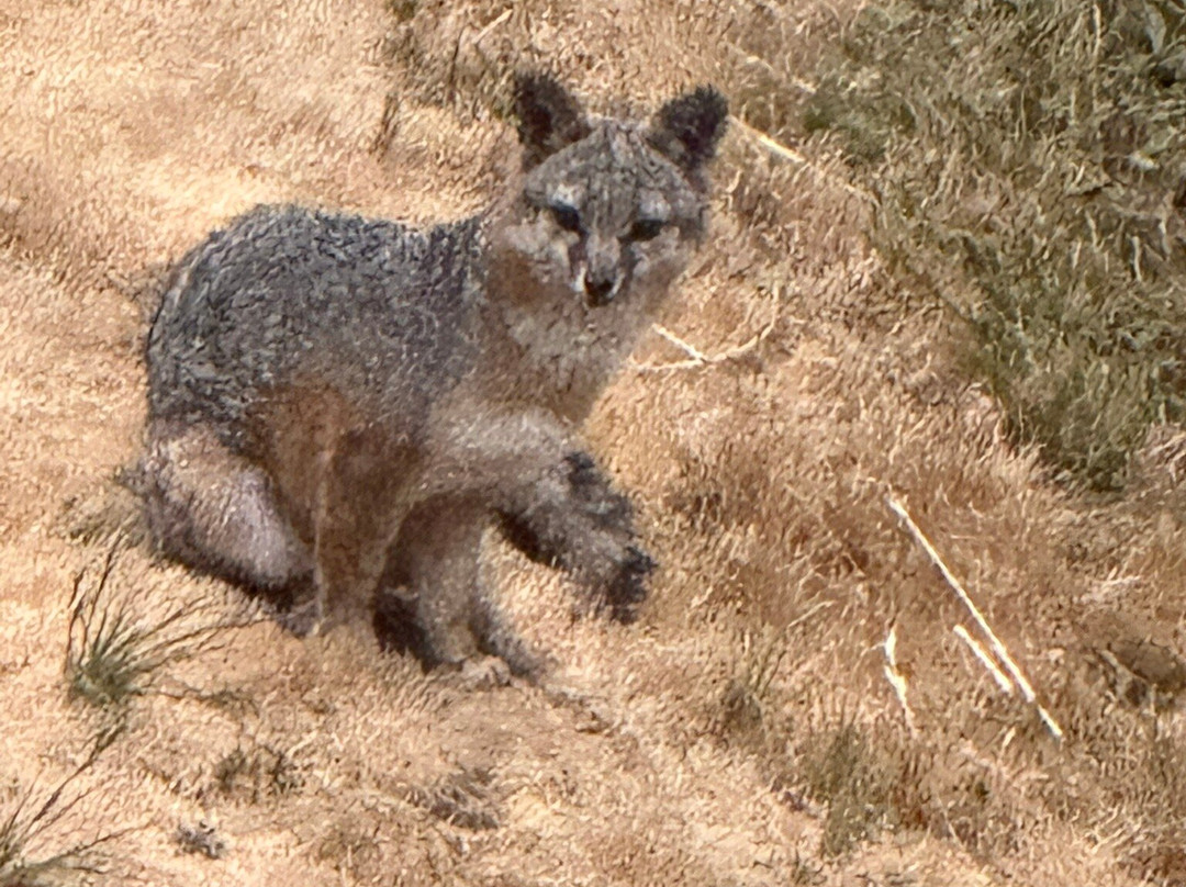 Harbor Lite Lodge主图