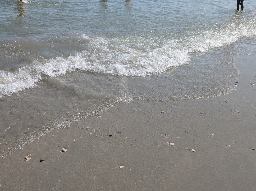 Ocean 7 Hotel主图