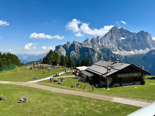 Cervo Del Fertazza - Scultura Martalar-Selva di Cadore必去景点