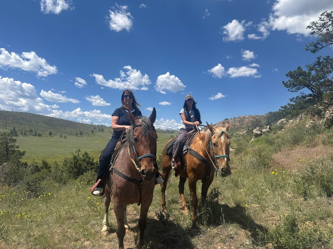 Tattered Saddle Stables At Gordon Creek-科林斯堡必去景点