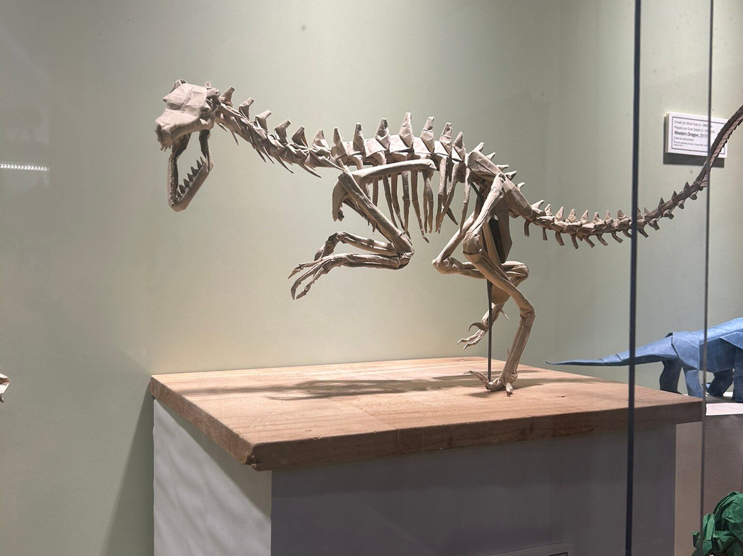 Museo del Origami-科洛尼亚·德尔萨克拉门托城必去景点