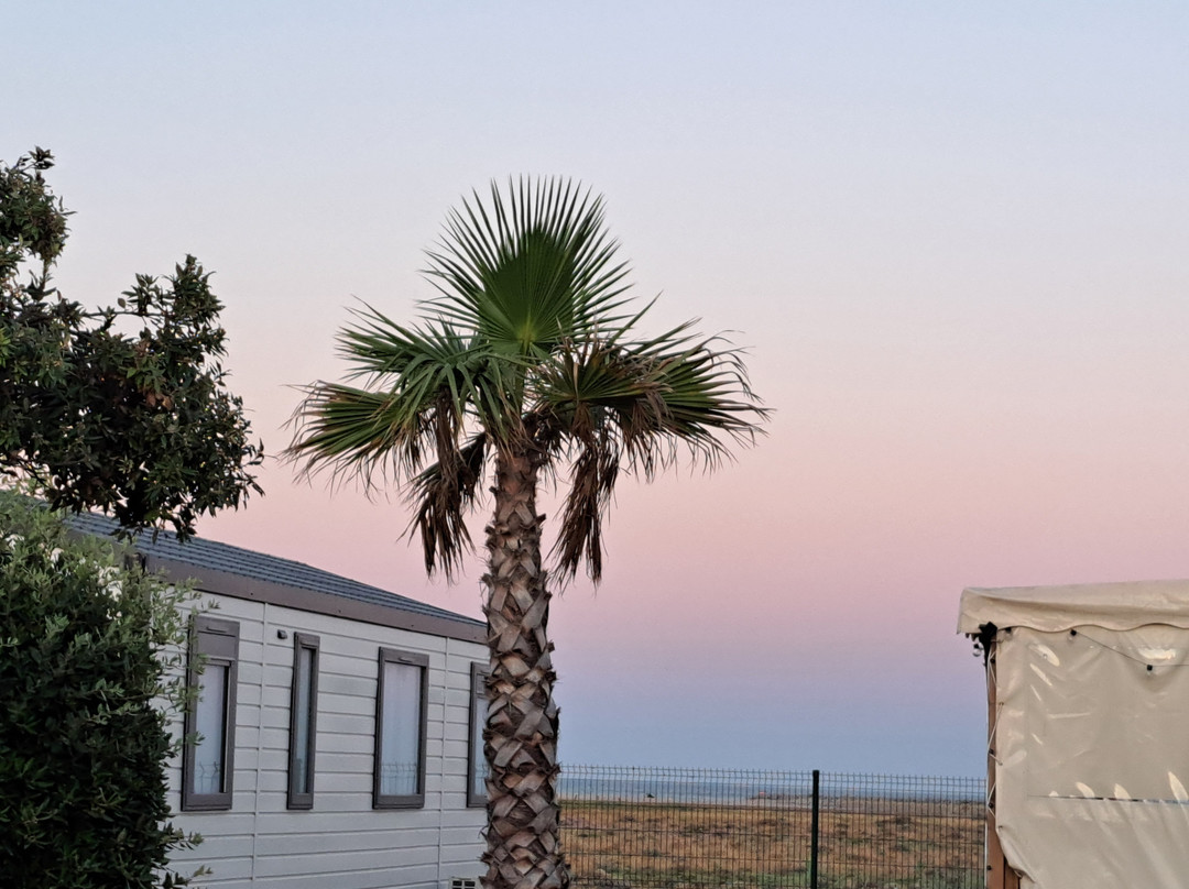 Camping Club La Côte des Roses - MS Vacances