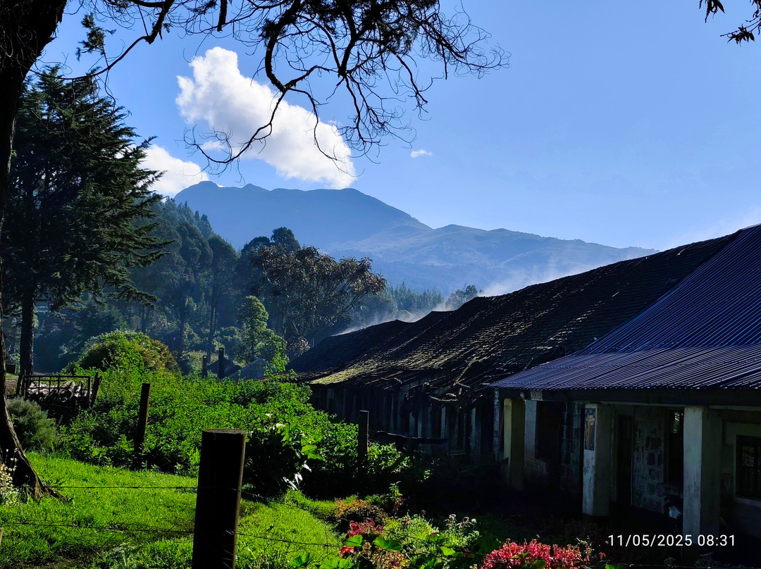 Konnect Safaris-内罗毕必去景点