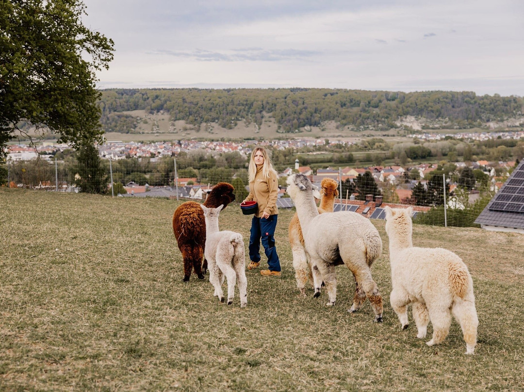 Bergtraum.Alpakas-克尔海姆必去景点