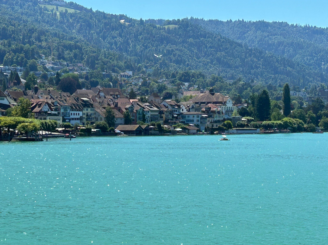 Zugersee Schiffahrt-楚格必去景点