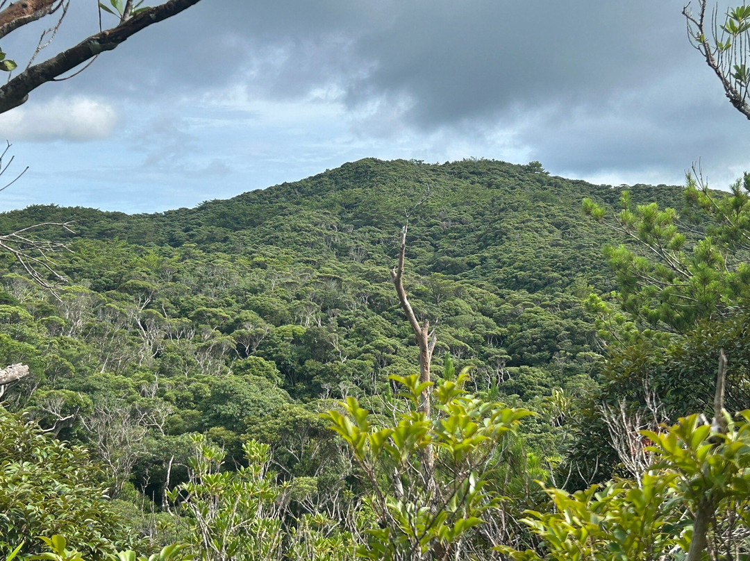 Kunigami Village Forest Park-国头村必去景点