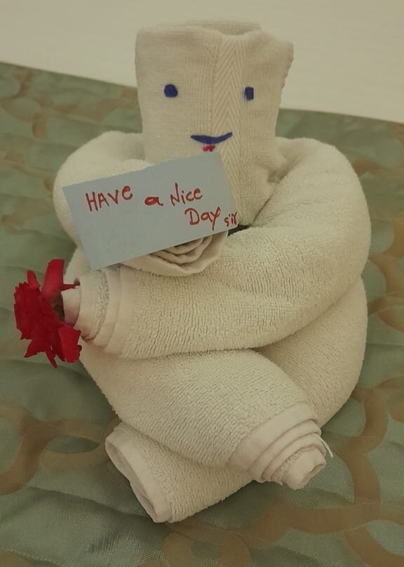 Hotel Singhania Sarovar Portico主图