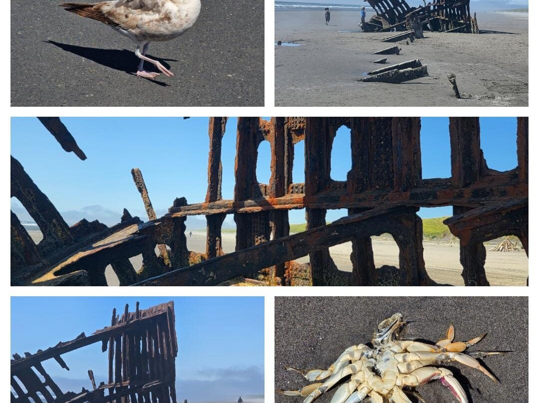 Peter Iredale Ship Wreck-Warrenton必去景点