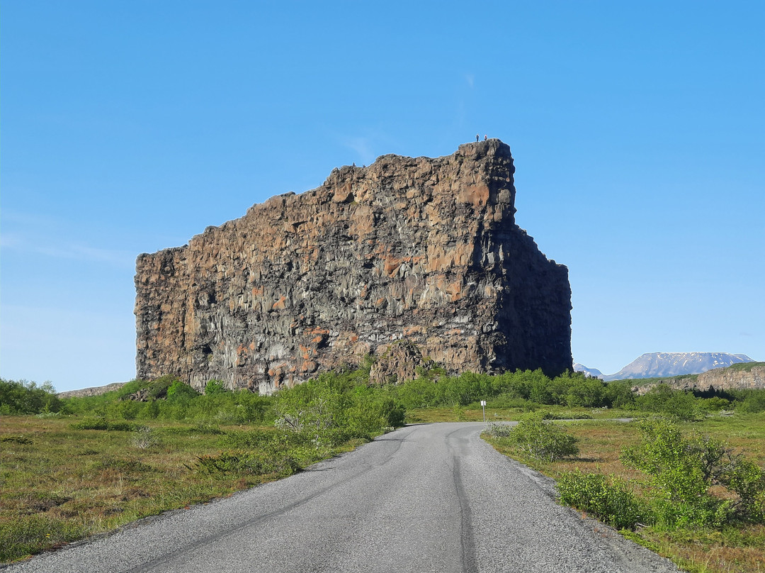 Hotel Skulagardur主图