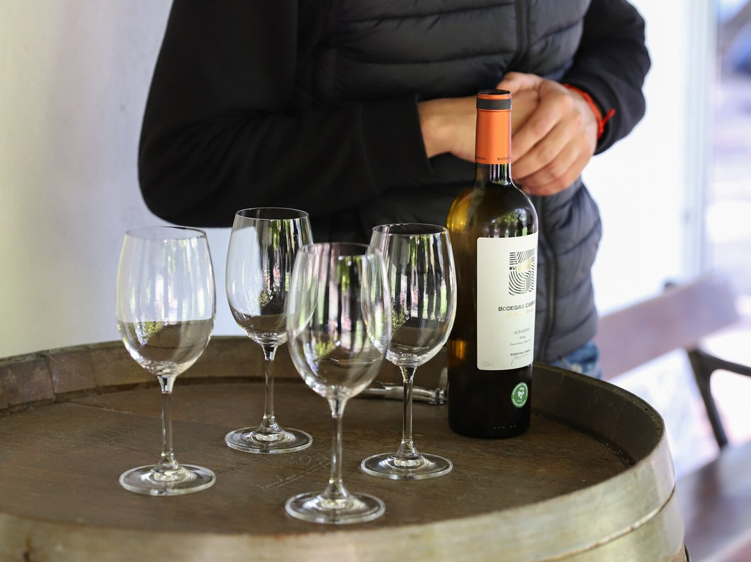 Bodegas Carrau-蒙得维的亚必去景点