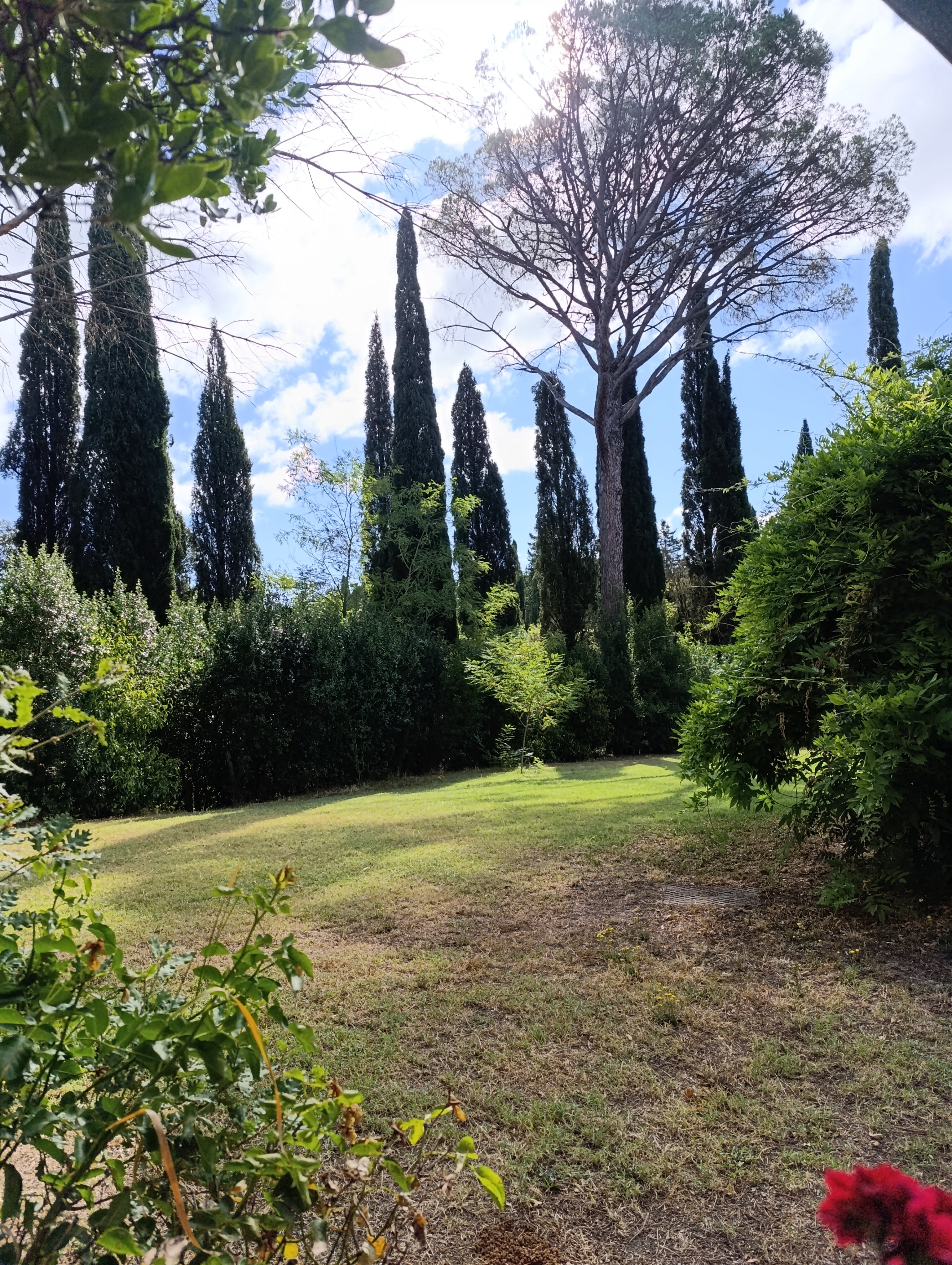 Al Giardino degli Etruschi-官方