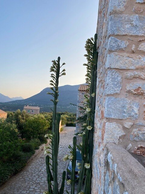 Pandora Mani Boutique Hotel主图