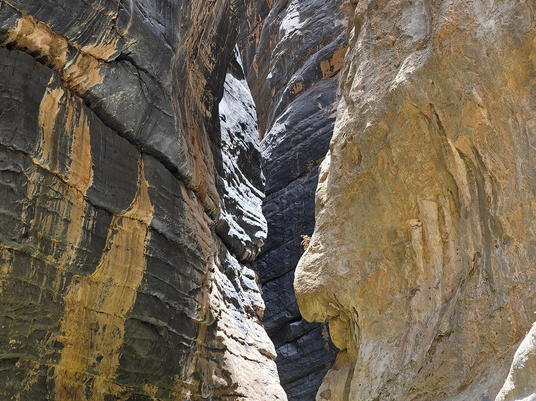 Snake Canyon Guide - Sultan-Wadi Bani Awf必去景点