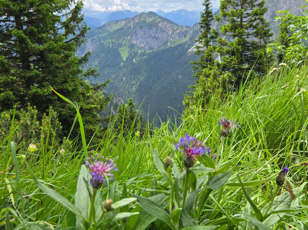 Mount Tegelberg-施万高必去景点