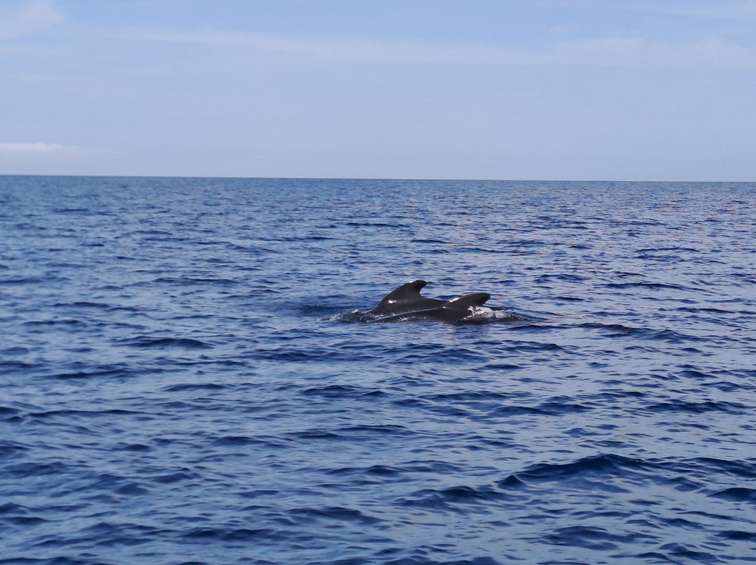 Sea Adventure-Six-Fours-les-Plages必去景点