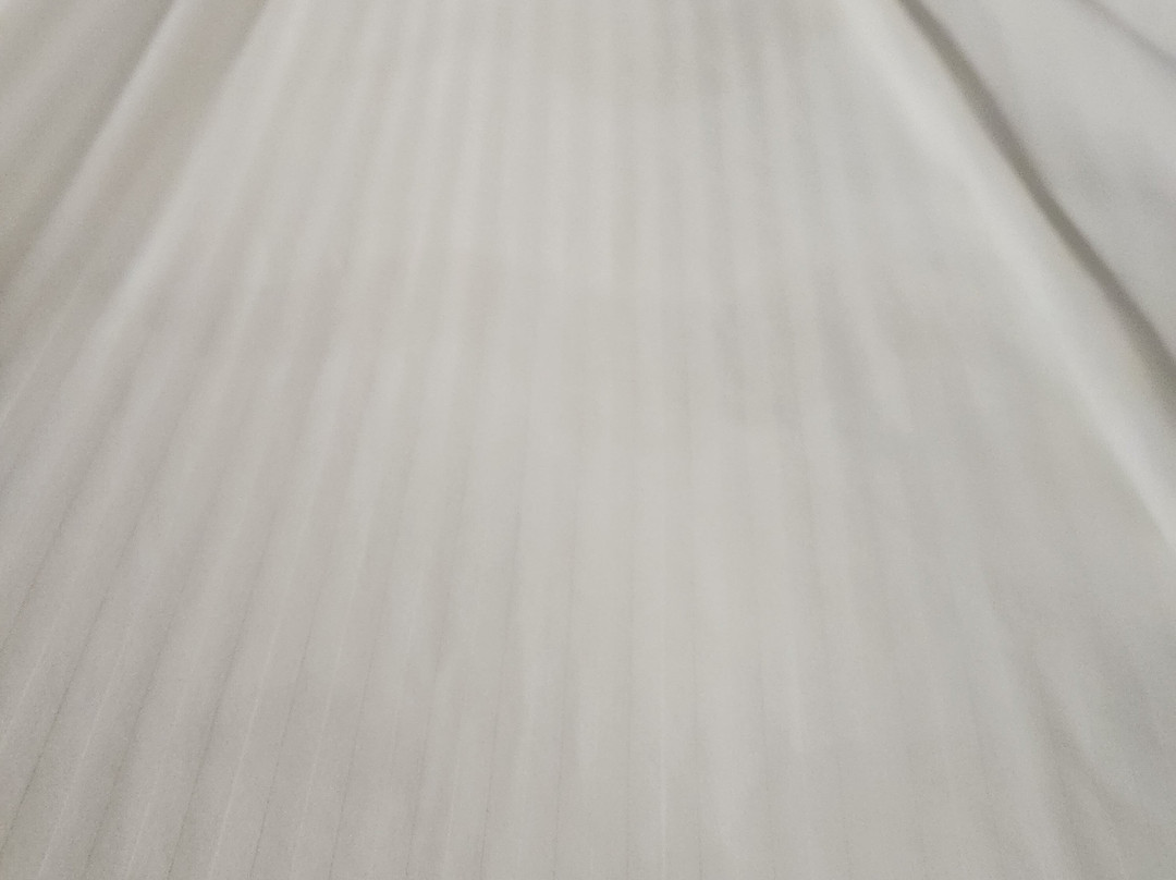 联邦快递体育场国会大厦酒店主图