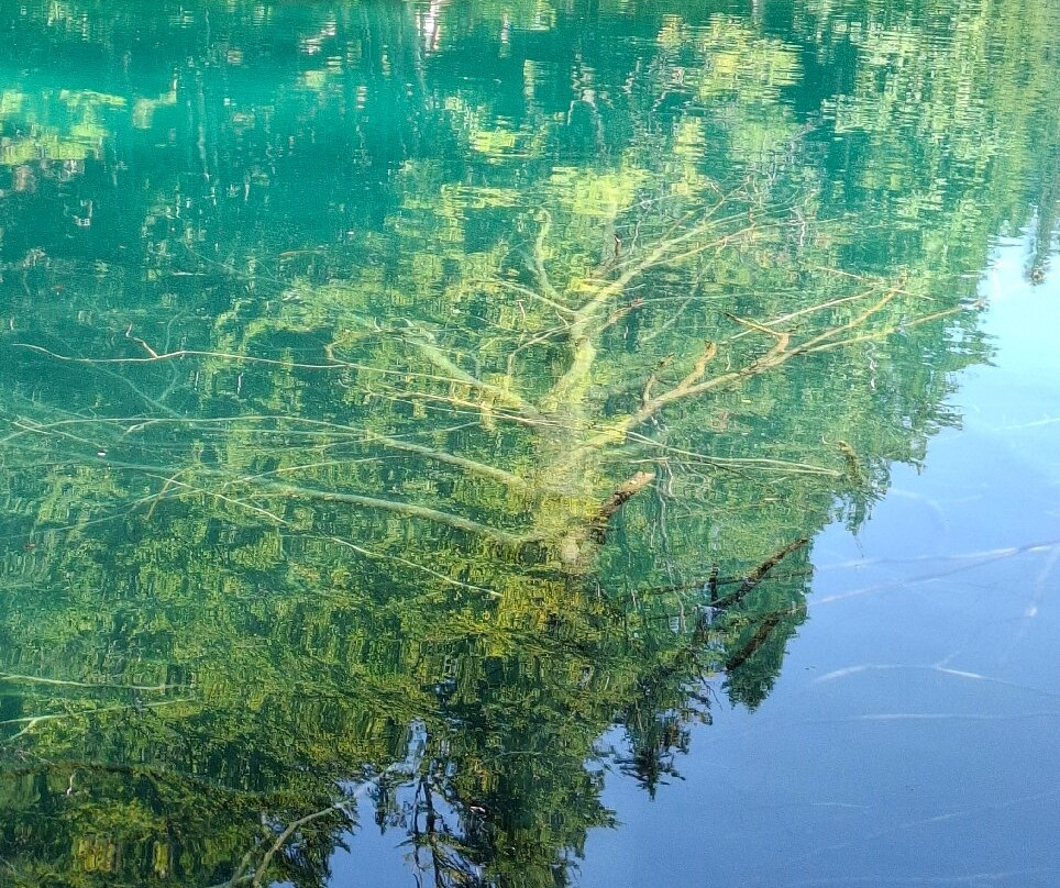 Laghi Di Fusine-Tarvisio必去景点
