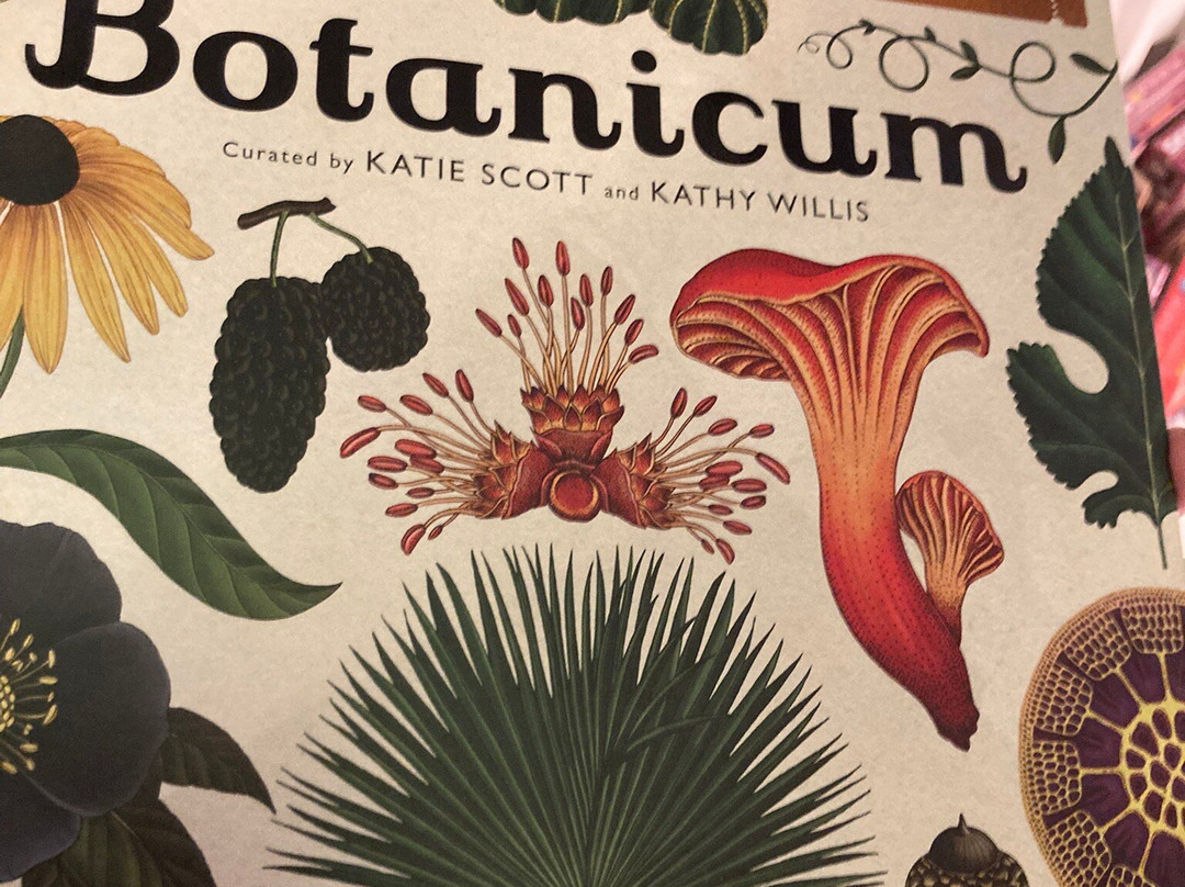 Den Lille Bokbutikken-Haugesund必去景点