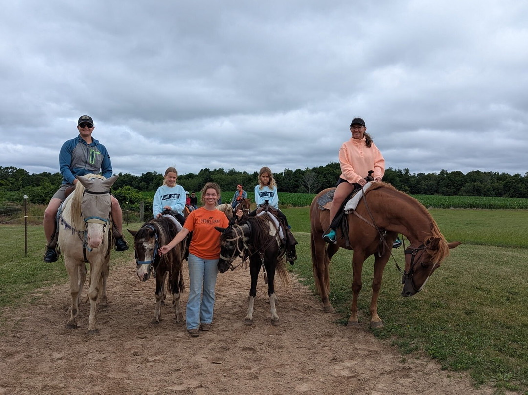 Stony Lake Stables-New Era必去景点