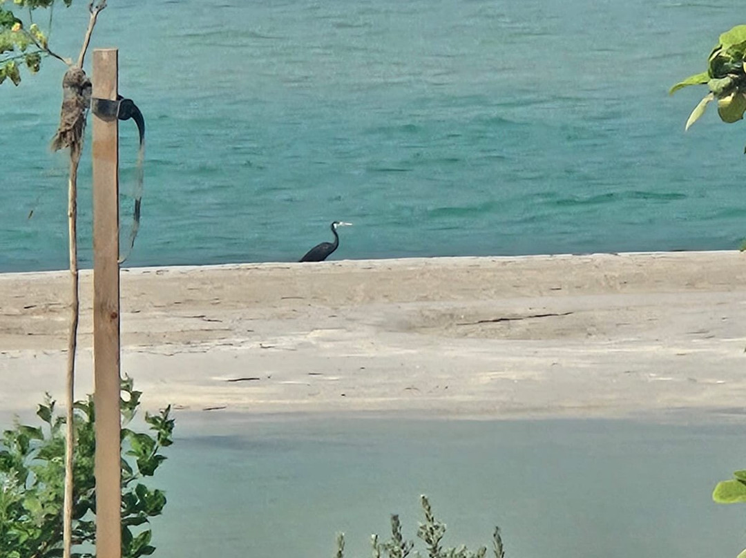 Hawar Resort by Mantis主图