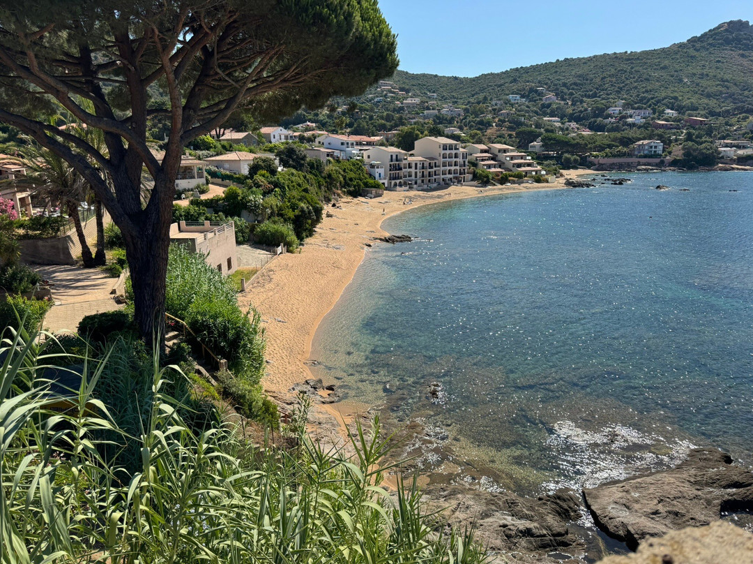 Residence Fior di Mare