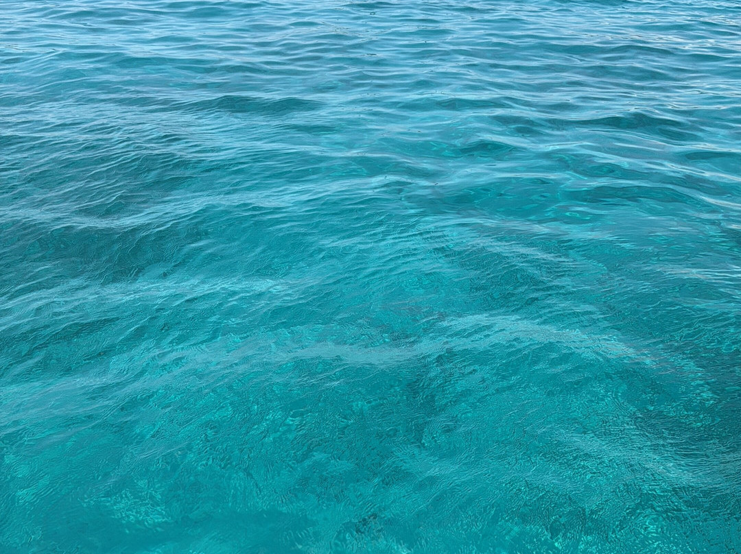 Xlendi Pleasure Cruises-Xlendi必去景点