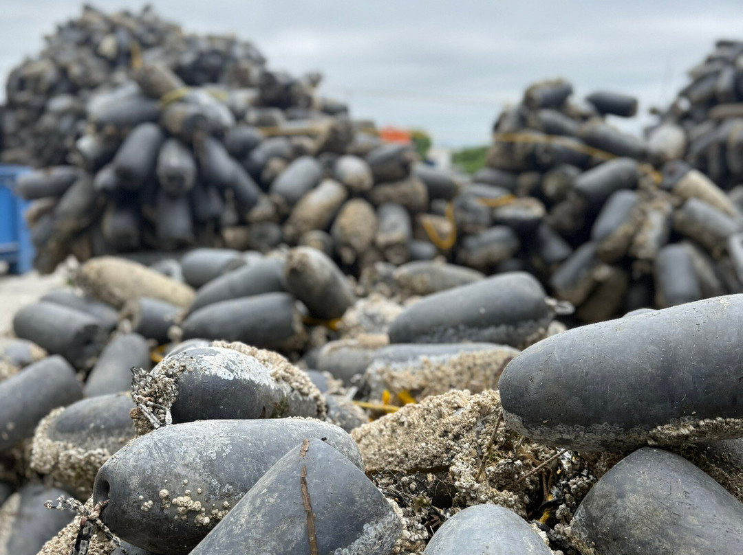 Taylor Shellfish Farms-Bow必去景点