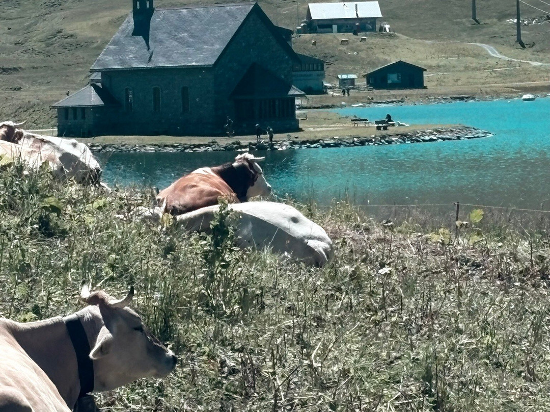 Melchsee-Frutt-Kerns必去景点