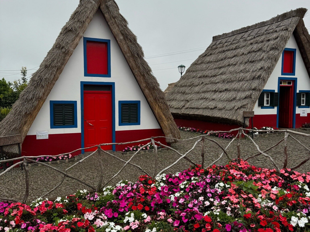 Vida Atlantica-马德拉群岛必去景点