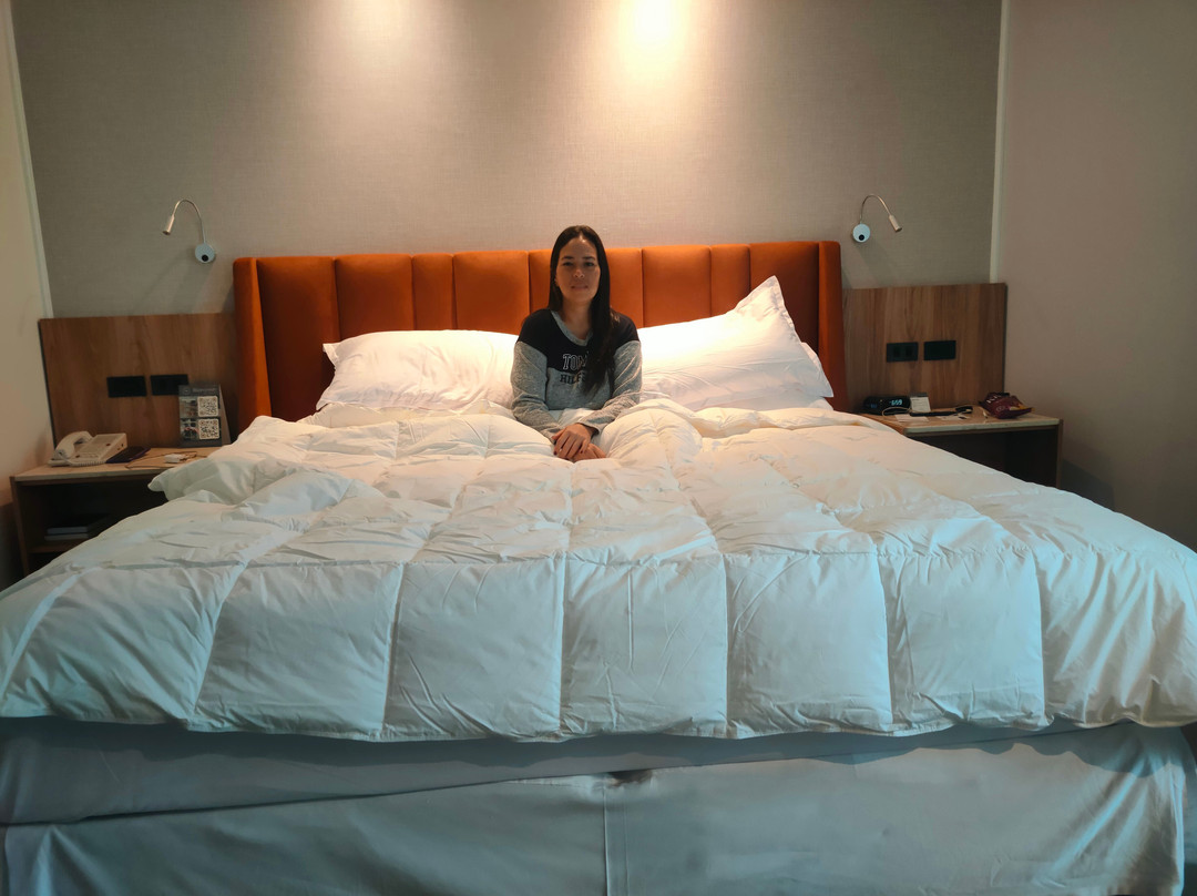 Sheraton Guayaquil Hotel主图