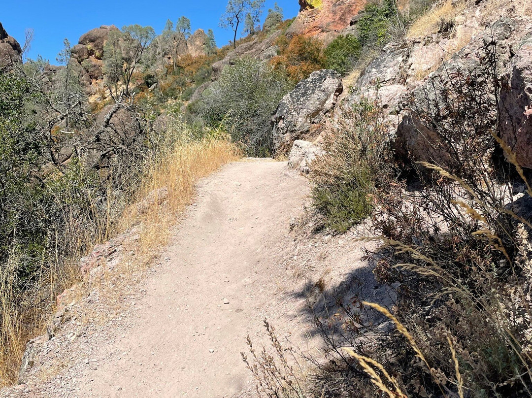 Pinnacles National Park West Entrance-Soledad必去景点