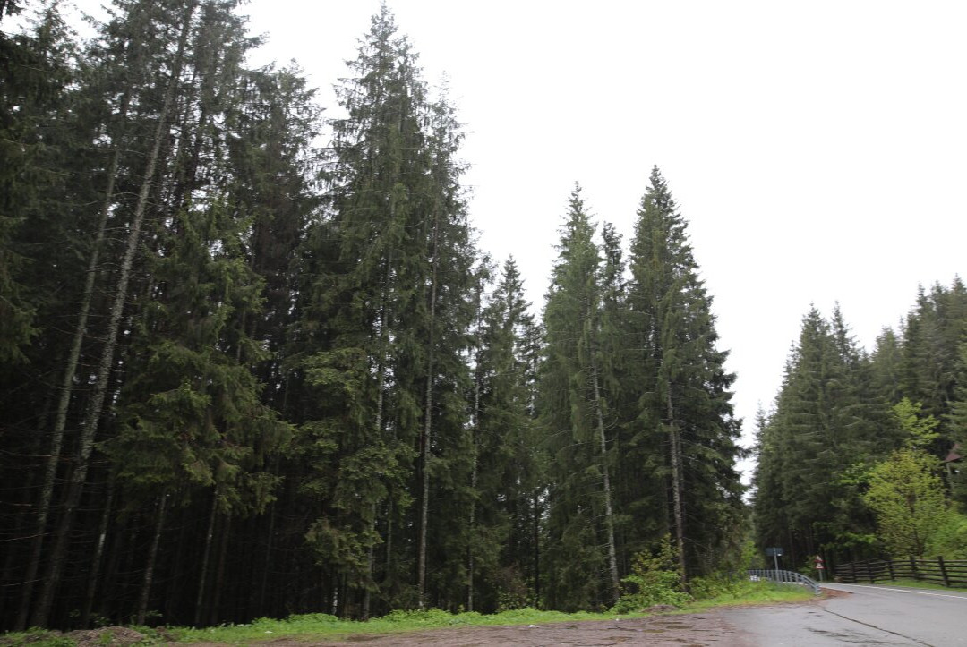 Parcul National Ceahlau-Durau必去景点