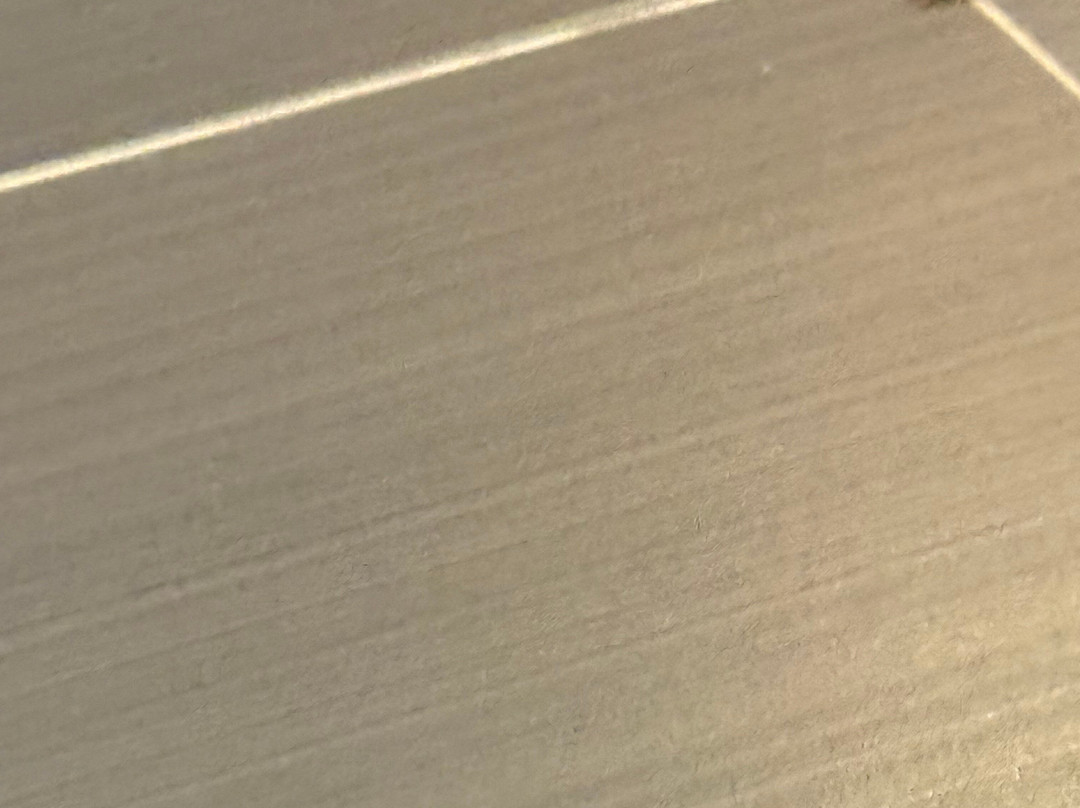 Wingate by Wyndham主图