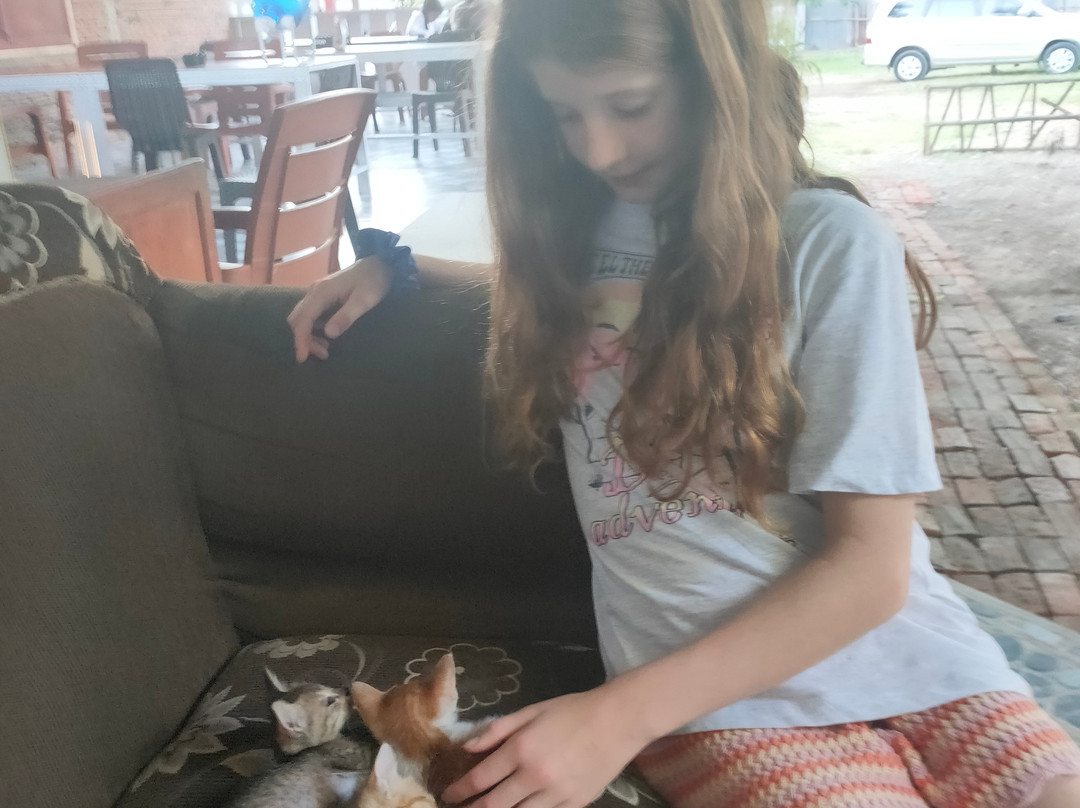 Methos Homestay - Raja Ampat主图