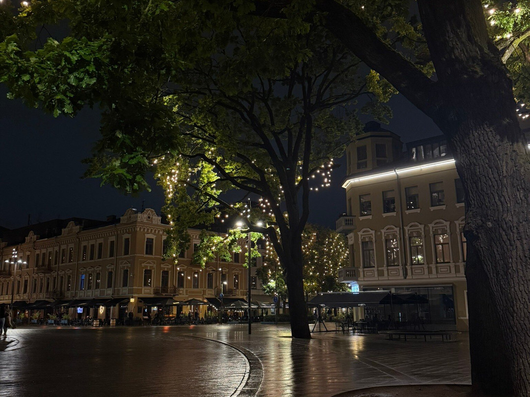 Kaunas Old Town-考那斯必去景点