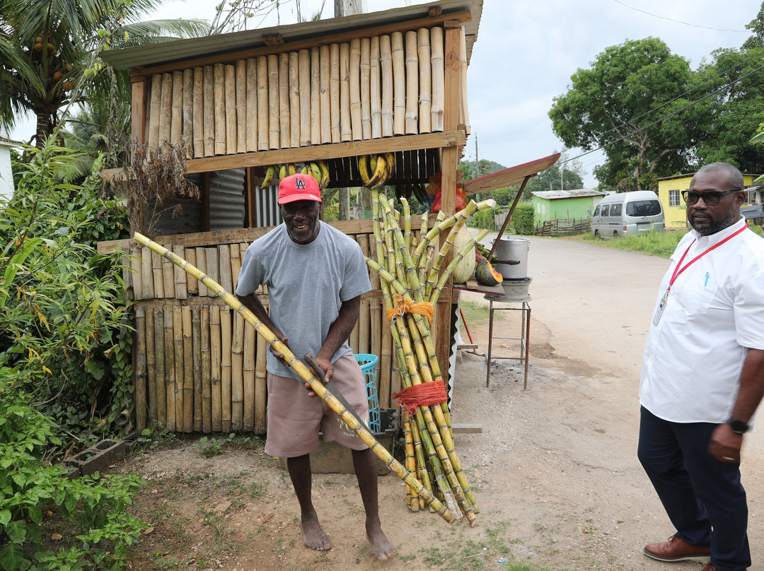 Byron's Jamaica Tours-蒙特戈贝必去景点